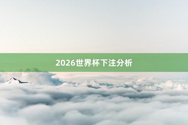 2026世界杯下注分析